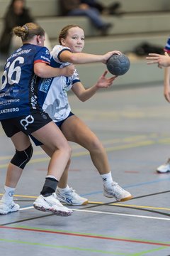 Bild 258 - wBJ HTS/BW96 Handball - Niendorfer TSV : Ergebnis: 27:27